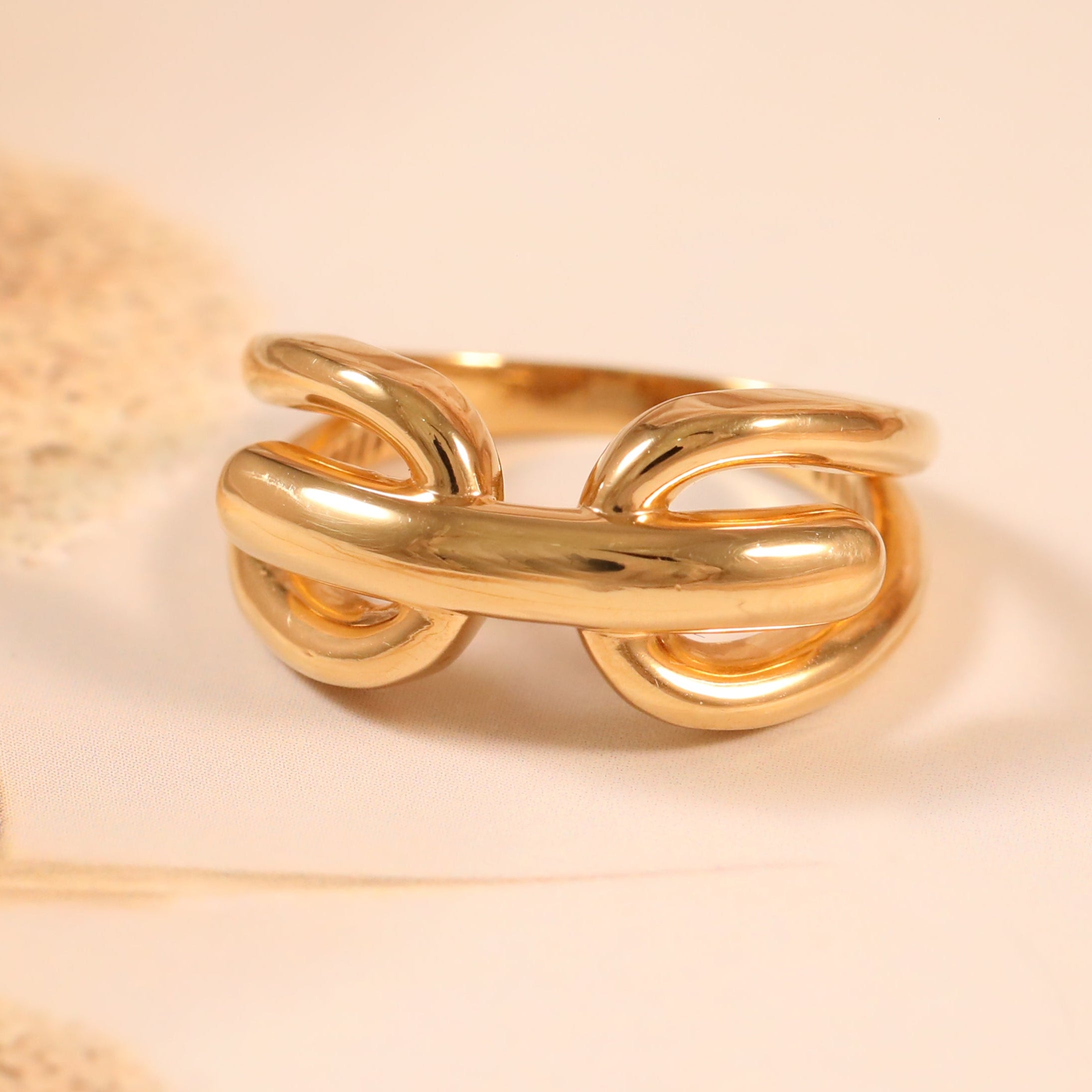 Trendy Double Loop Ring
